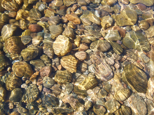 443538 (a): :2000x1500